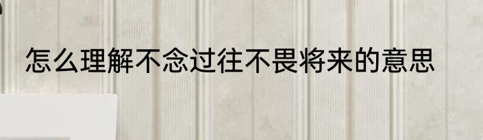 怎么理解不念过往不畏将来的意思