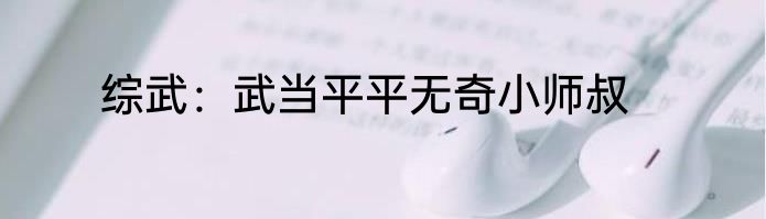 综武：武当平平无奇小师叔