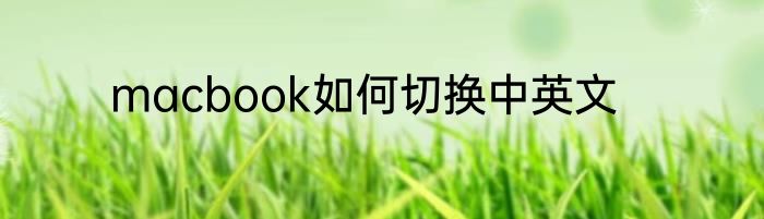 macbook如何切换中英文