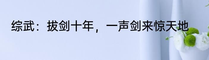 综武：拔剑十年，一声剑来惊天地