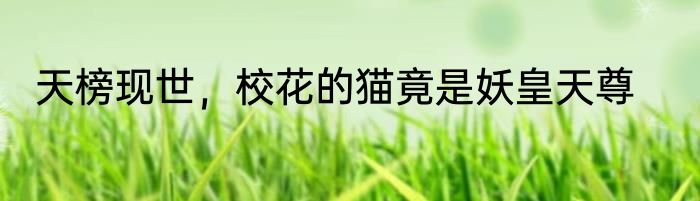 天榜现世，校花的猫竟是妖皇天尊