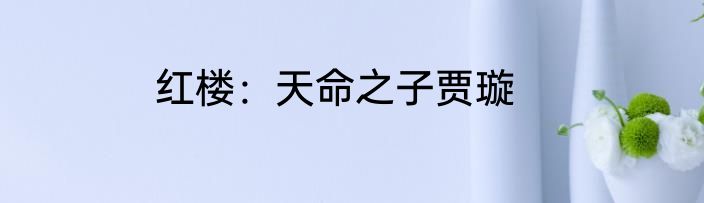 红楼：天命之子贾璇