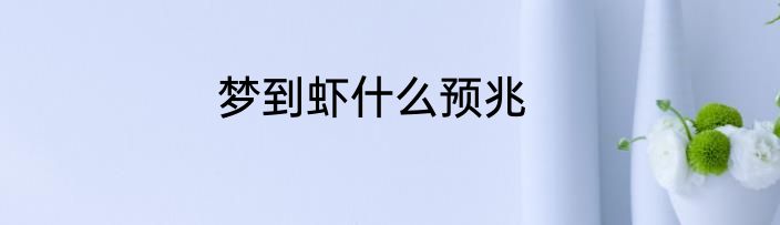 梦到虾什么预兆