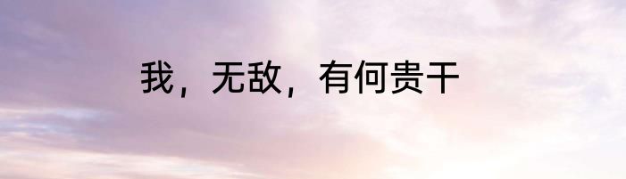 我，无敌，有何贵干