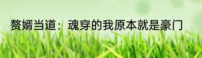 赘婿当道：魂穿的我原本就是豪门