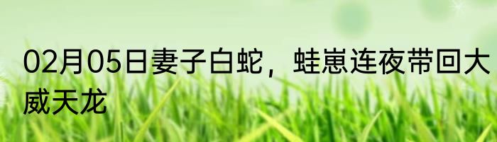 02月05日妻子白蛇，蛙崽连夜带回大威天龙
