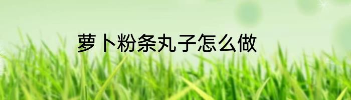 萝卜粉条丸子怎么做