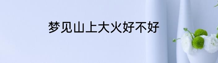 梦见山上大火好不好