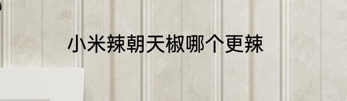 小米辣朝天椒哪个更辣