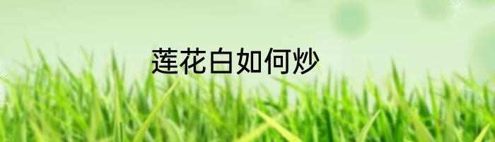 02月02日老板！你哥快被打死啦