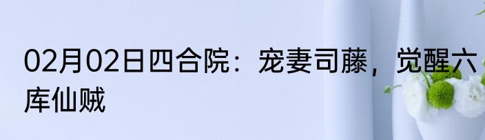 02月02日四合院：宠妻司藤，觉醒六库仙贼
