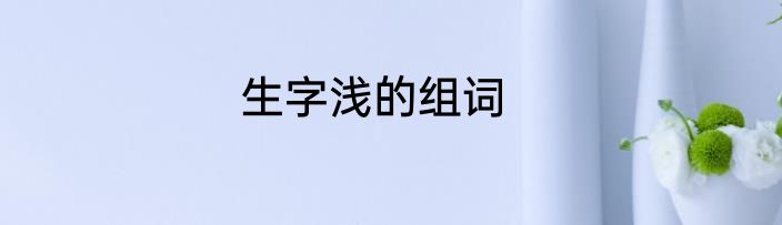 生字浅的组词