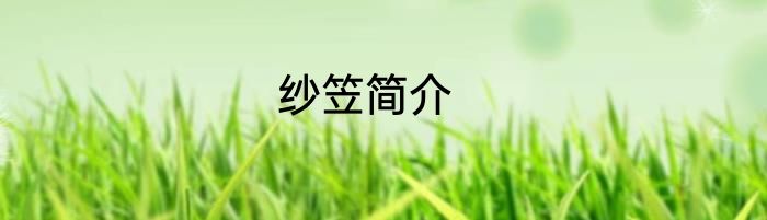 纱笠简介