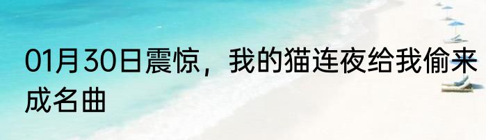 01月30日震惊，我的猫连夜给我偷来成名曲