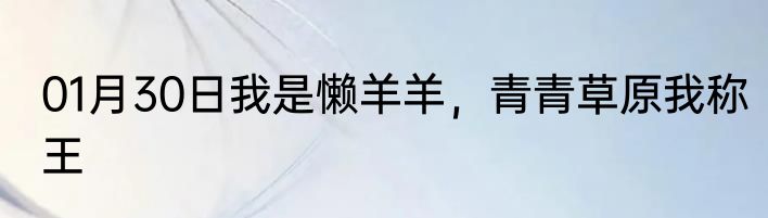 01月30日我是懒羊羊，青青草原我称王