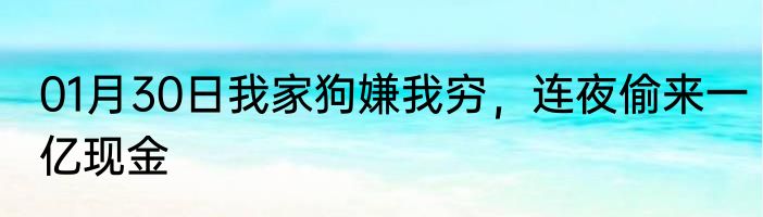 01月30日我家狗嫌我穷，连夜偷来一亿现金