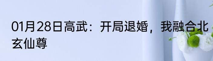 01月28日高武：开局退婚，我融合北玄仙尊