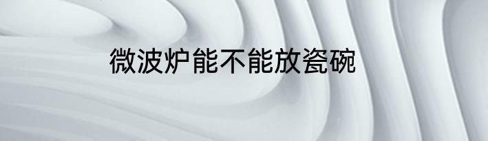 微波炉能不能放瓷碗