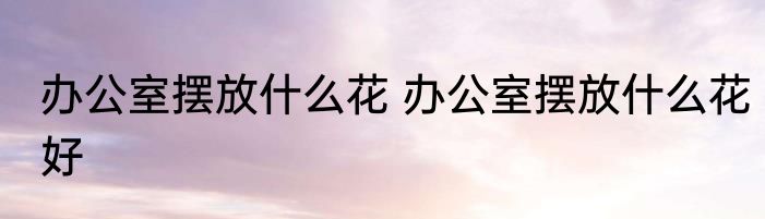 办公室摆放什么花 办公室摆放什么花好