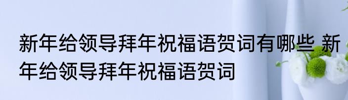 新年给领导拜年祝福语贺词有哪些 新年给领导拜年祝福语贺词