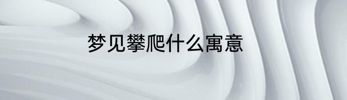 梦见攀爬什么寓意