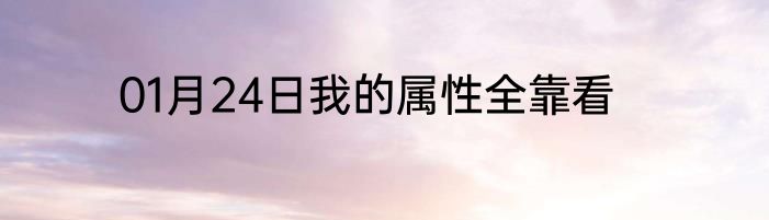 01月24日我的属性全靠看