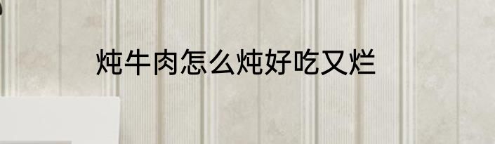 炖牛肉怎么炖好吃又烂