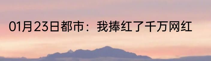 01月23日都市：我捧红了千万网红