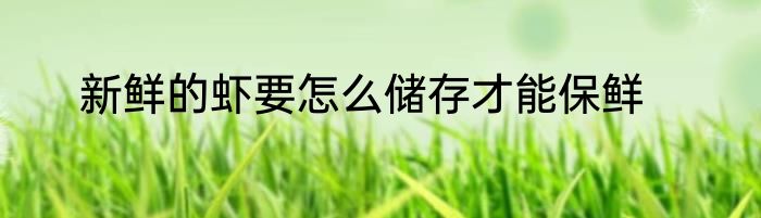 新鲜的虾要怎么储存才能保鲜