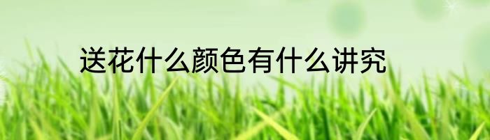 送花什么颜色有什么讲究