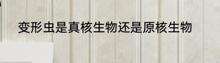变形虫是真核生物还是原核生物