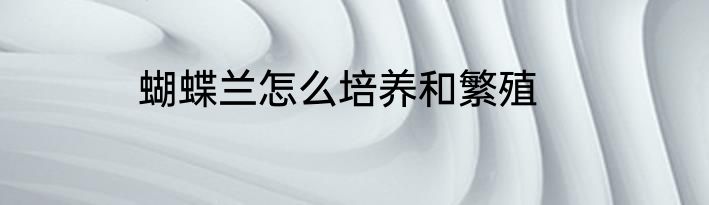 蝴蝶兰怎么培养和繁殖