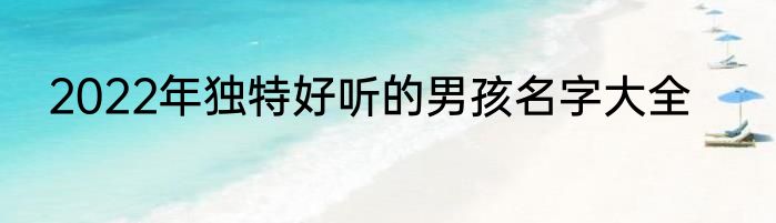 2022年独特好听的男孩名字大全
