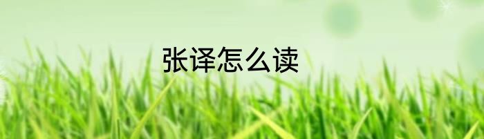 张译怎么读