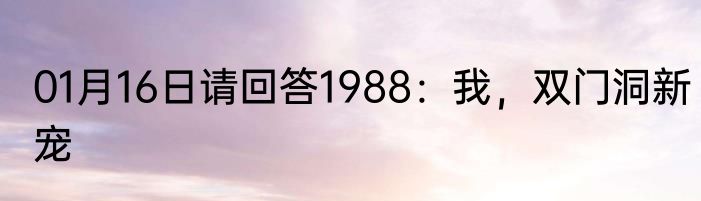 01月16日请回答1988：我，双门洞新宠