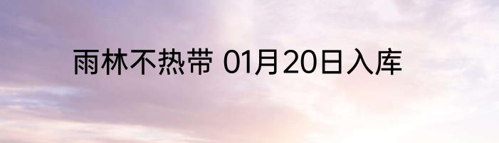雨林不热带 01月20日入库