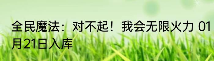 全民魔法：对不起！我会无限火力 01月21日入库