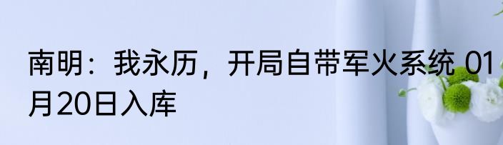 南明：我永历，开局自带军火系统 01月20日入库
