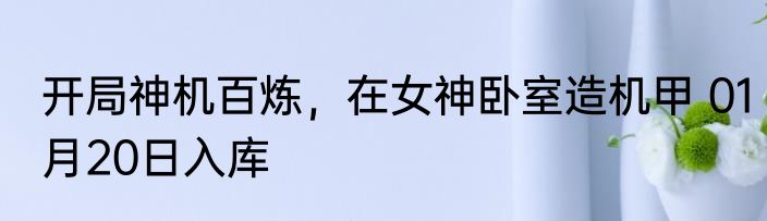 开局神机百炼，在女神卧室造机甲 01月20日入库