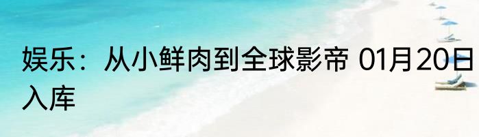 娱乐：从小鲜肉到全球影帝 01月20日入库