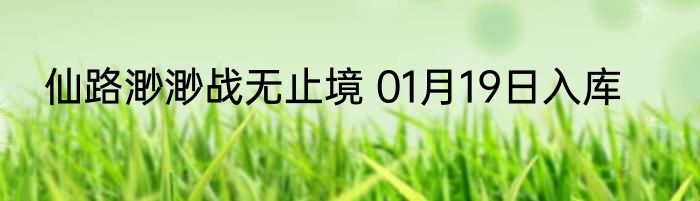 仙路渺渺战无止境 01月19日入库