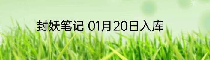 封妖笔记 01月20日入库