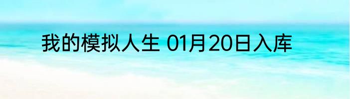 我的模拟人生 01月20日入库