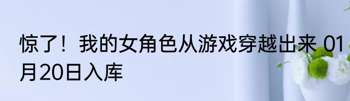 惊了！我的女角色从游戏穿越出来 01月20日入库