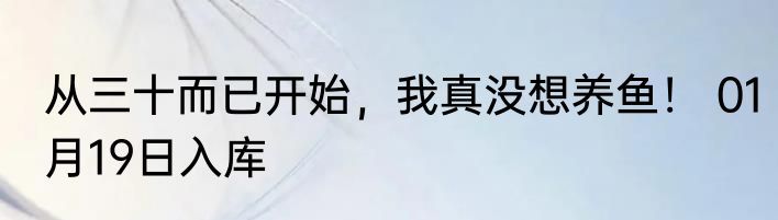 从三十而已开始，我真没想养鱼！ 01月19日入库