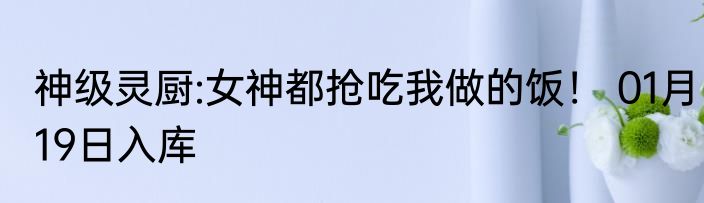 神级灵厨:女神都抢吃我做的饭！ 01月19日入库