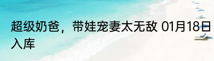 超级奶爸，带娃宠妻太无敌 01月18日入库