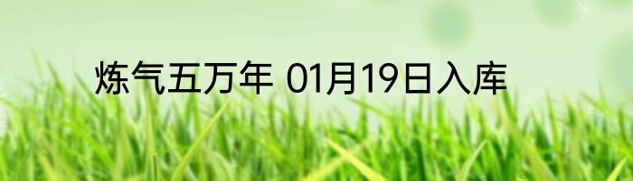 炼气五万年 01月19日入库