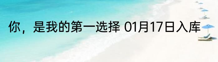 你，是我的第一选择 01月17日入库