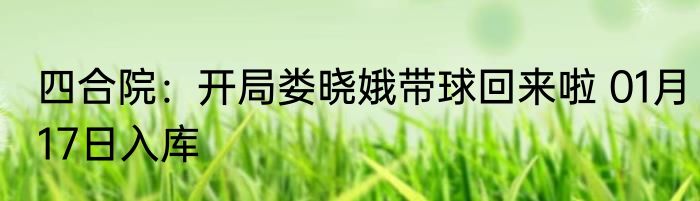 四合院：开局娄晓娥带球回来啦 01月17日入库